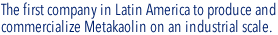 The first company in Latin America to produce and commercialize Metakaolin on an industrial scale.
