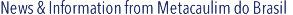 Novidades, notcias e informaes da Metacaulim do Brasil