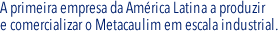 A primeira empresa da Amrica Latina a produzir
e comercializar o Metacaulim em escala industrial.