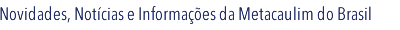 Novidades, notcias e informaes da Metacaulim do Brasil